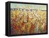 Field of Spring Flowers II-Tim O'toole-Framed Stretched Canvas