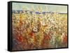 Field of Spring Flowers II-Tim O'toole-Framed Stretched Canvas