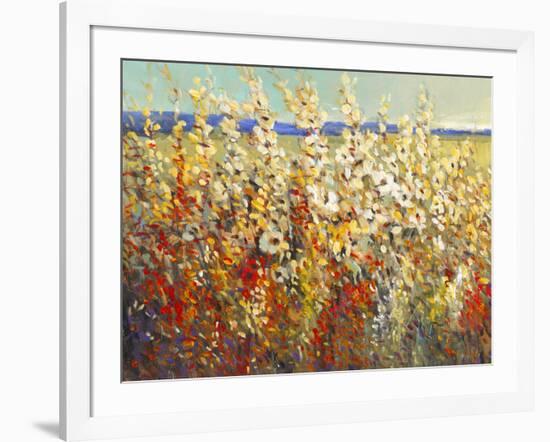 Field of Spring Flowers II-Tim O'toole-Framed Art Print