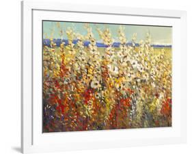 Field of Spring Flowers II-Tim O'toole-Framed Art Print