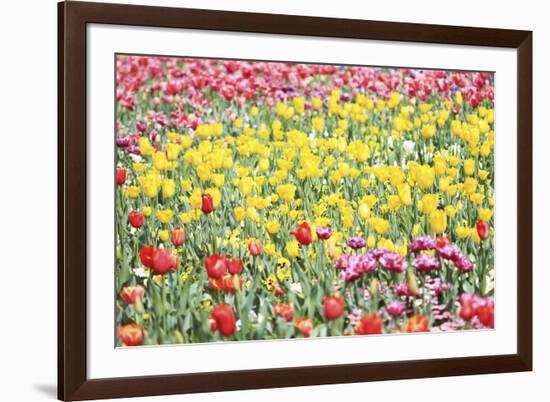 Field Of Spring-Incredi-Framed Giclee Print