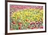 Field Of Spring-Incredi-Framed Giclee Print