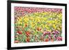 Field Of Spring-Incredi-Framed Giclee Print