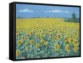 Field of Sunflowers, 2002-Alan Byrne-Framed Stretched Canvas