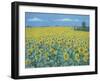 Field of Sunflowers, 2002-Alan Byrne-Framed Giclee Print