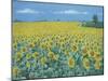 Field of Sunflowers, 2002-Alan Byrne-Mounted Giclee Print