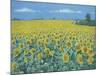 Field of Sunflowers, 2002-Alan Byrne-Mounted Giclee Print