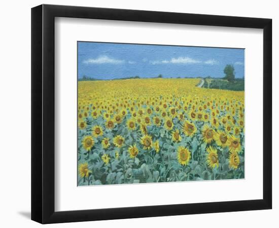 Field of Sunflowers, 2002-Alan Byrne-Framed Giclee Print