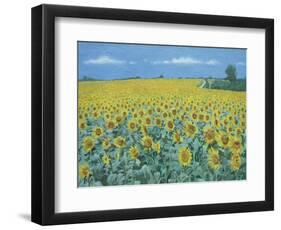 Field of Sunflowers, 2002-Alan Byrne-Framed Giclee Print