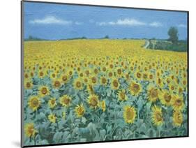 Field of Sunflowers, 2002-Alan Byrne-Mounted Giclee Print