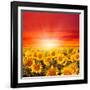 Field of Sunflowers and Sun in the Blue Sky.-Ale-ks-Framed Photographic Print