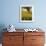 Field of Sunflowers in Full Bloom, Languedoc, France, Europe-Martin Child-Framed Photographic Print displayed on a wall