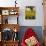 Field of Sunflowers in Full Bloom, Languedoc, France, Europe-Martin Child-Photographic Print displayed on a wall