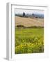 Field of Sunflowers in the Tuscan Landscape, Tuscany, Italy, Europe-Martin Child-Framed Photographic Print