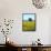 Field of Sunflowers, Lake of Bolsena, Bolsena, Viterbo Province, Latium, Italy-Nico Tondini-Framed Stretched Canvas displayed on a wall