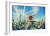 Field of Sunflowers with Contrails in A Blue Sky-Gajus-Framed Photographic Print