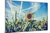 Field of Sunflowers with Contrails in A Blue Sky-Gajus-Mounted Photographic Print