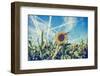 Field of Sunflowers with Contrails in A Blue Sky-Gajus-Framed Photographic Print