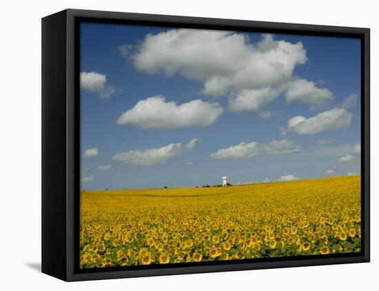 Field of Sunflowers with Water Tower in Distance, Charente, France, Europe-Groenendijk Peter-Framed Stretched Canvas