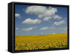 Field of Sunflowers with Water Tower in Distance, Charente, France, Europe-Groenendijk Peter-Framed Stretched Canvas