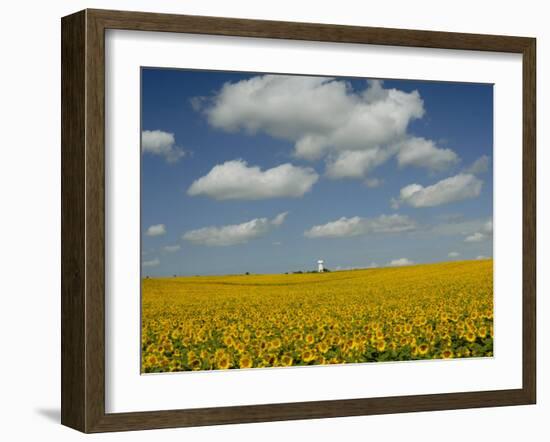 Field of Sunflowers with Water Tower in Distance, Charente, France, Europe-Groenendijk Peter-Framed Photographic Print