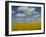 Field of Sunflowers with Water Tower in Distance, Charente, France, Europe-Groenendijk Peter-Framed Photographic Print