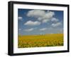 Field of Sunflowers with Water Tower in Distance, Charente, France, Europe-Groenendijk Peter-Framed Photographic Print