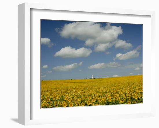 Field of Sunflowers with Water Tower in Distance, Charente, France, Europe-Groenendijk Peter-Framed Photographic Print
