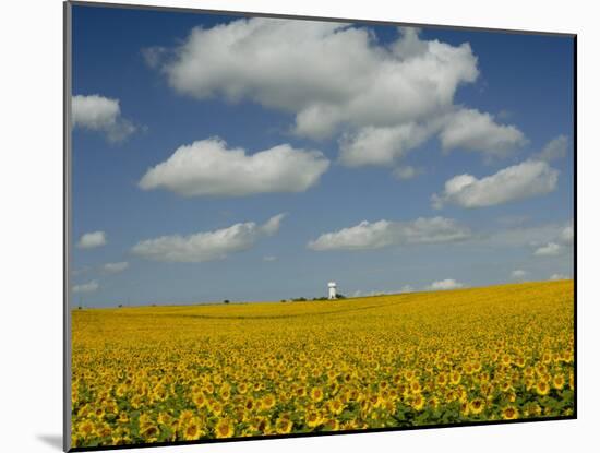 Field of Sunflowers with Water Tower in Distance, Charente, France, Europe-Groenendijk Peter-Mounted Photographic Print