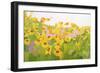 Field of Sunflowers-Anne Becker-Framed Art Print