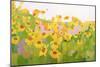 Field of Sunflowers-Anne Becker-Mounted Art Print