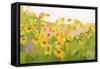 Field of Sunflowers-Anne Becker-Framed Stretched Canvas