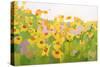 Field of Sunflowers-Anne Becker-Stretched Canvas