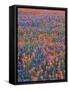 Field of Texas Blue Bonnets and Indian Paintbrush, Texas Hill Country, Texas, USA-Darrell Gulin-Framed Stretched Canvas