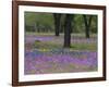 Field of Texas Blue Bonnets, Phlox and Oak Trees, Devine, Texas, USA-Darrell Gulin-Framed Photographic Print