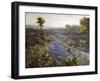 Field of Texas Bluebonnets and Prickly Pear Cacti-Julian Robert Onderdonk-Framed Giclee Print