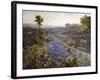 Field of Texas Bluebonnets and Prickly Pear Cacti-Julian Robert Onderdonk-Framed Giclee Print