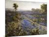 Field of Texas Bluebonnets and Prickly Pear Cacti-Julian Robert Onderdonk-Mounted Giclee Print