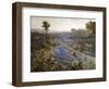 Field of Texas Bluebonnets and Prickly Pear Cacti-Julian Robert Onderdonk-Framed Giclee Print