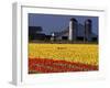 Field of Tulips and Barn with Silos, Skagit Valley, Washington, USA-William Sutton-Framed Photographic Print