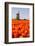 Field of tulips and windmill, near Obdam, North Holland, Netherlands, Europe-Miles Ertman-Framed Photographic Print