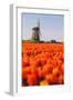 Field of tulips and windmill, near Obdam, North Holland, Netherlands, Europe-Miles Ertman-Framed Photographic Print