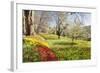 Field of Tulips, Mainau Island in Spring, Lake Constance, Baden-Wurttemberg, Germany, Europe-Markus Lange-Framed Photographic Print