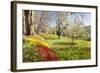 Field of Tulips, Mainau Island in Spring, Lake Constance, Baden-Wurttemberg, Germany, Europe-Markus Lange-Framed Photographic Print