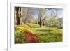 Field of Tulips, Mainau Island in Spring, Lake Constance, Baden-Wurttemberg, Germany, Europe-Markus Lange-Framed Photographic Print