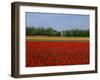 Field of Tulips with a Windmill in the Background, Near Amsterdam, Holland, Europe-null-Framed Photographic Print