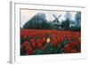 Field of Tulips with Windmill-null-Framed Photographic Print