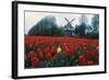 Field of Tulips with Windmill-null-Framed Photographic Print