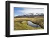 Field of Veitch's Bamboo in the Shiretoko Goko Lakes area, UNESCO World Heritage Site, Shiretoko Na-Michael Runkel-Framed Photographic Print