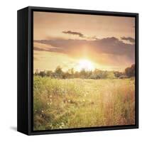 Field of Warmth Square-Kelly Poynter-Framed Stretched Canvas